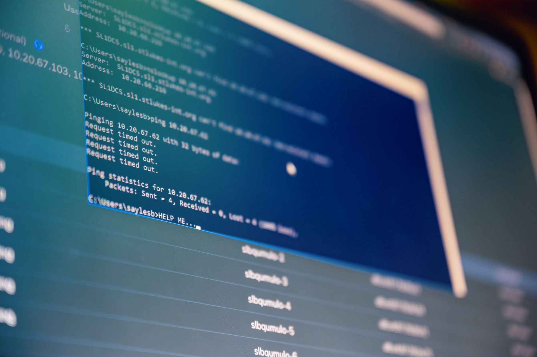 Nitroflare vs Rapidgator: Which File Hosting Service